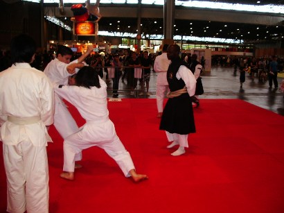 Japan Expo 2008 Shorinji Kempo